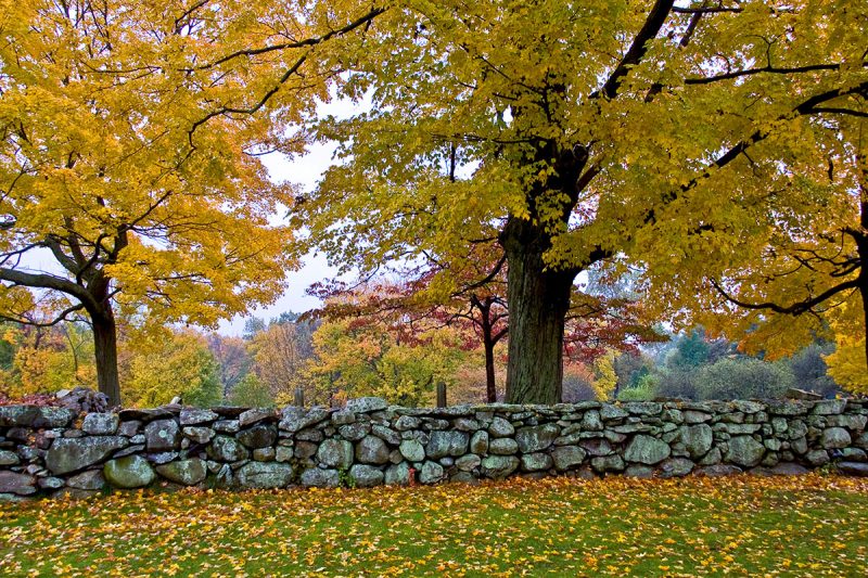 Stamford Real Estate Attorney Real Estate Lawyer David Lasnick